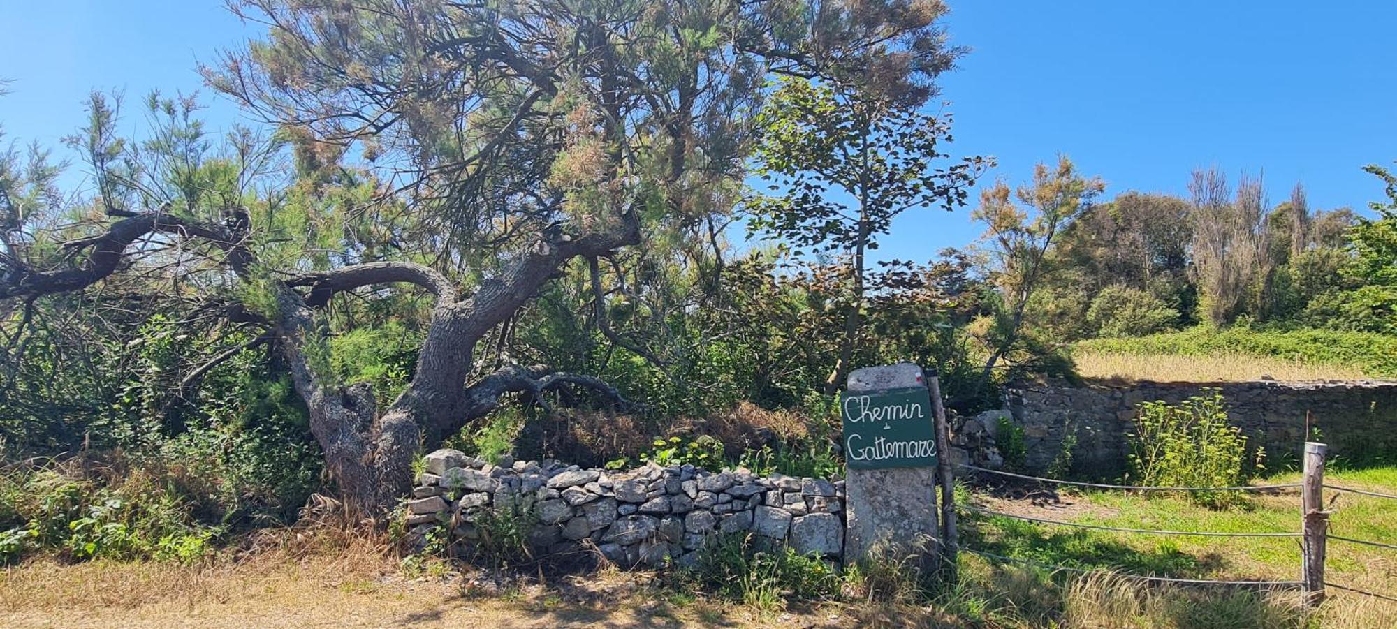 Relais Des Iles Saint Marcoufヴィラ エクステリア 写真